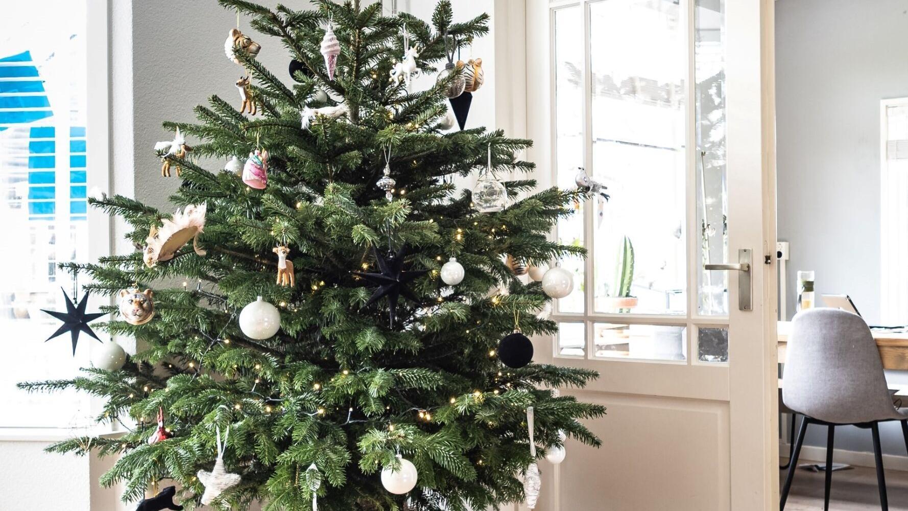 TikTok is the best place for Christmas decoration inspiration